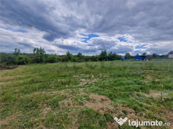 RECO teren intravilan Saldabagiu de Munte 