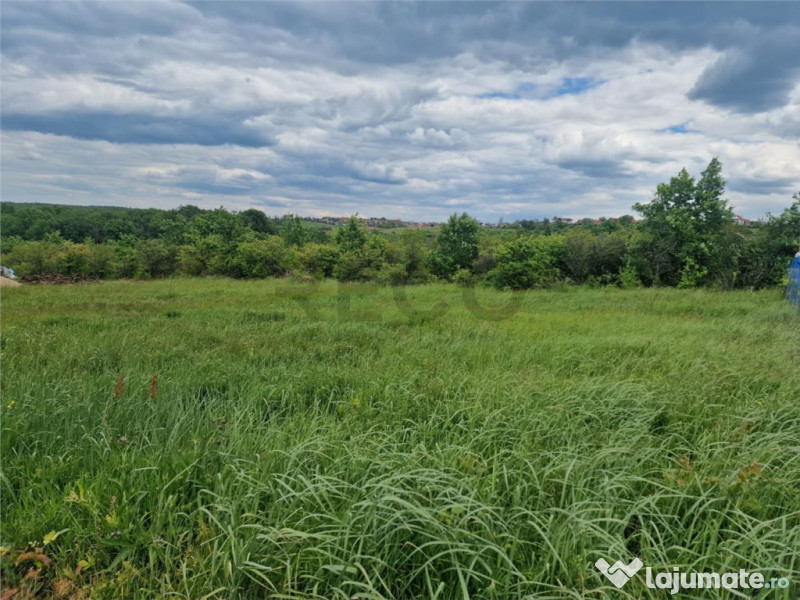 RECO teren intravilan Saldabagiu de Munte 