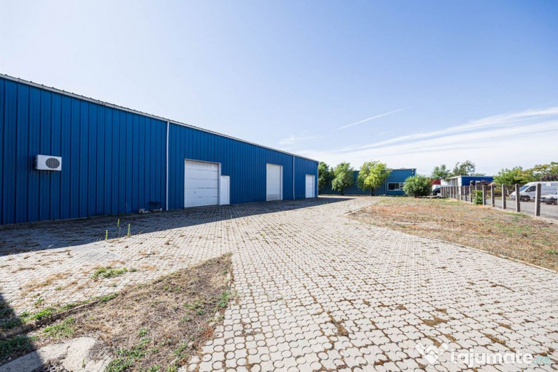 Reprezentanță auto de vânzare – Arad, Zona Industria... 