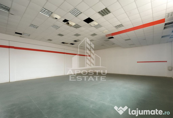Hala pentru depozitare sau productie, 435 mp, Calea Sagului 