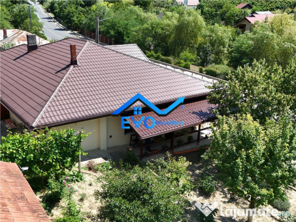 Casa de Uricani, Miroslava, Iasi - 0 Comision, 1000 mp Tere