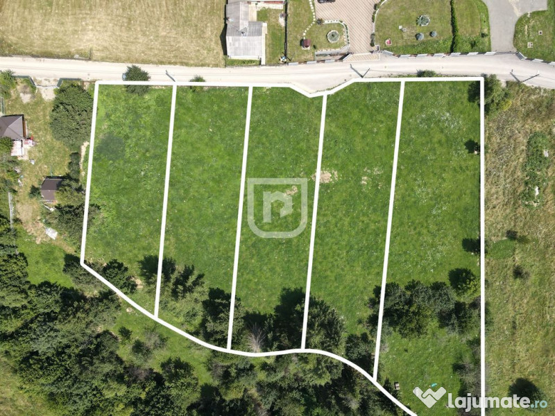 Teren INTRAVILAN Gura Humorului Arinis Bucovina