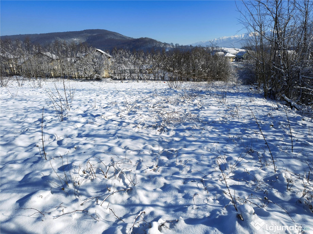 Teren 1344 mp de cu autorizatie de constructie str Cindrel 