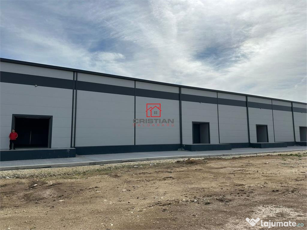 Depozit/hala/spatiu industrial Theodor Pallady - Drumul Int