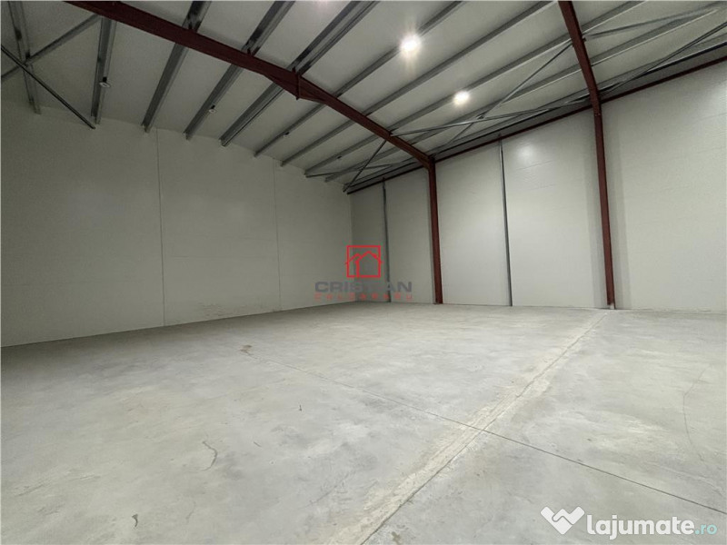 Depozit/hala/spatiu industrial Theodor Pallady - Drumul Int
