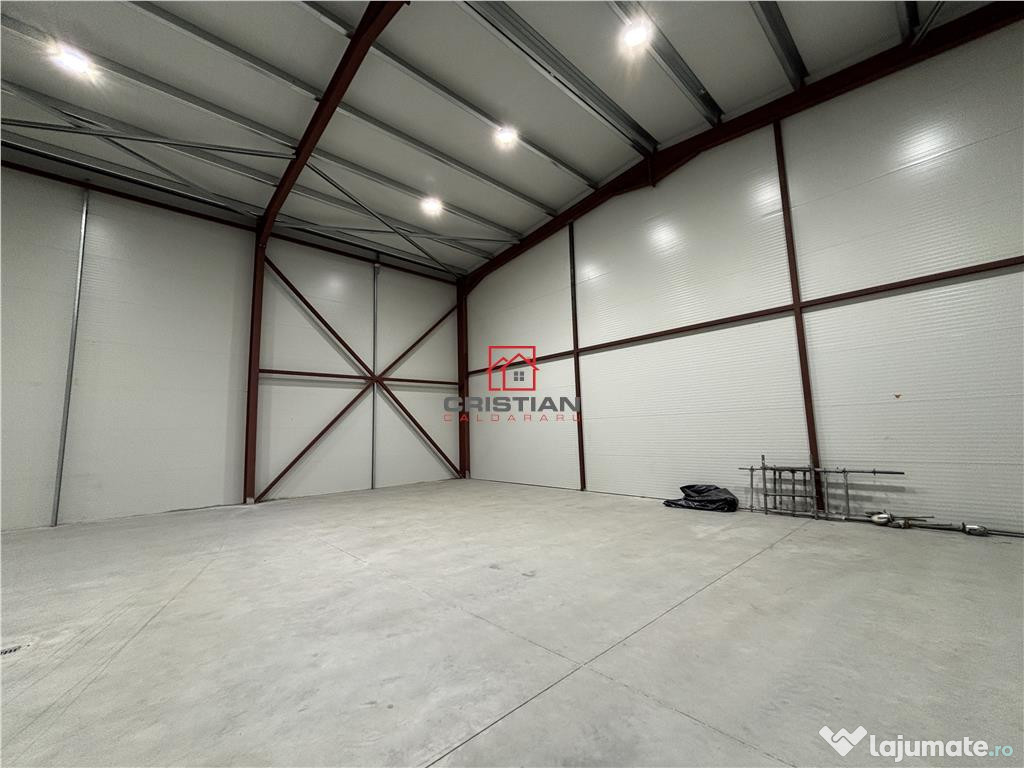 Depozit/hala/spatiu industrial Theodor Pallady - Drumul Int