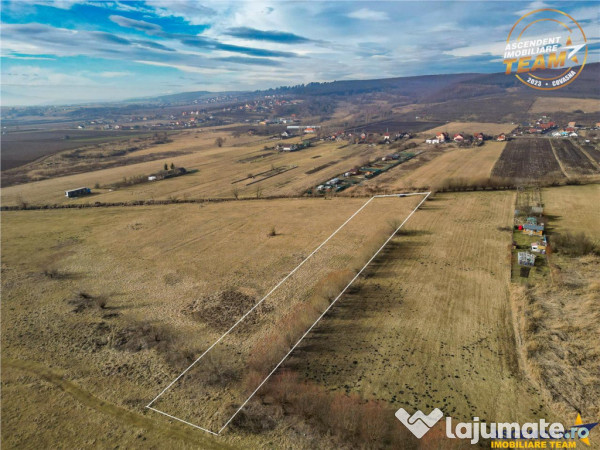 Teren extravilan de 5.800 mp in Sfantu Gheorghe:oportunitate 