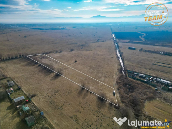 Teren extravilan de 5.800 mp in Sfantu Gheorghe:oportunitate 