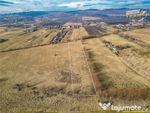 Teren extravilan de 5.800 mp in Sfantu Gheorghe:oportunitate 
