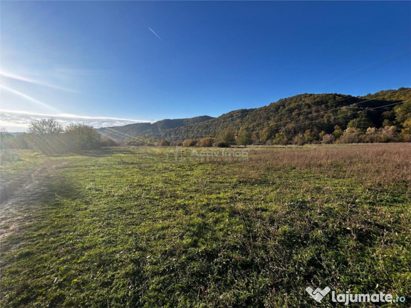 Bocsa Teren Intravilan 2754 Mp.