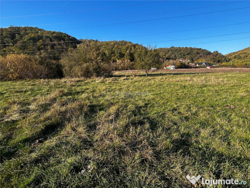 Bocsa Teren Intravilan 2754 Mp.