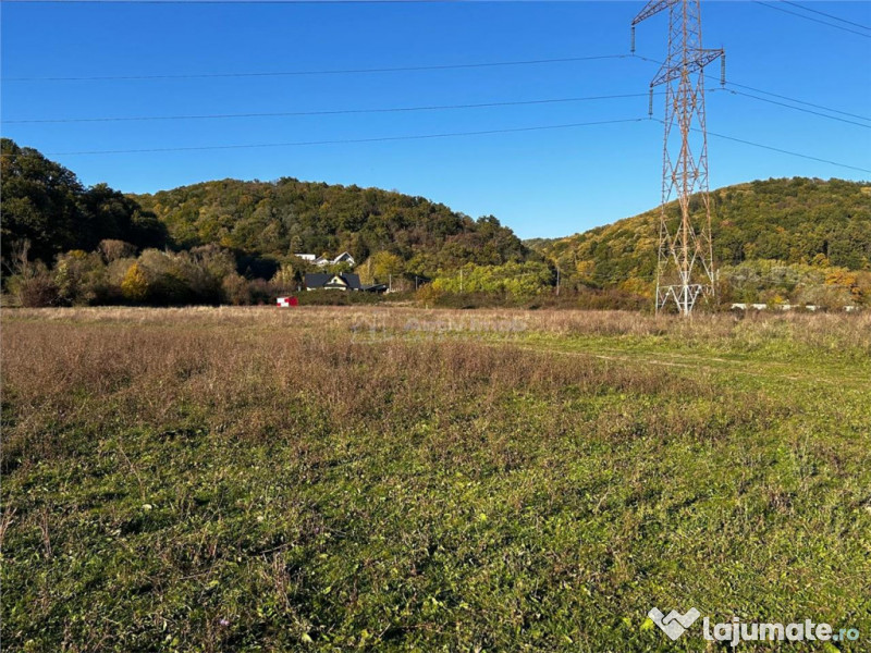 Bocsa Teren Intravilan 2754 Mp.