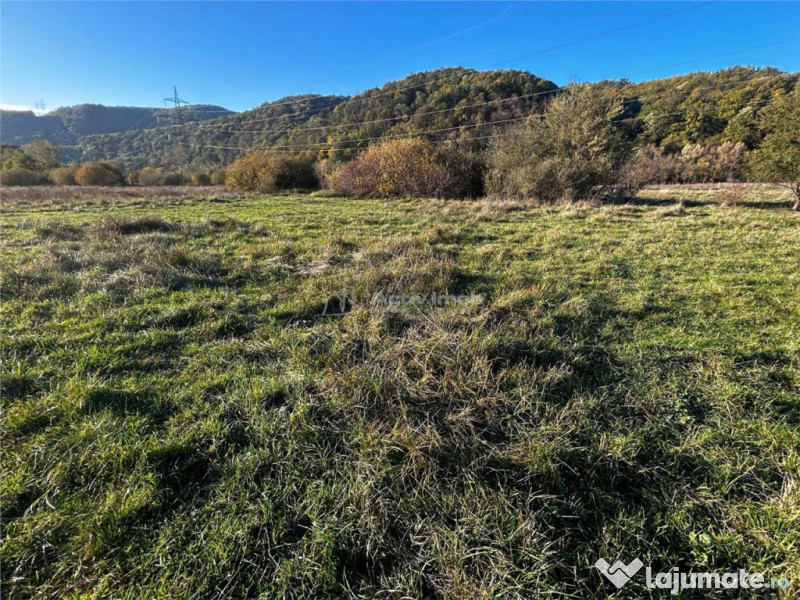 Bocsa Teren Intravilan 2754 Mp.