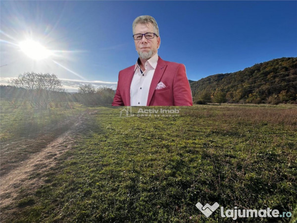 Bocsa Teren Intravilan 2754 Mp.