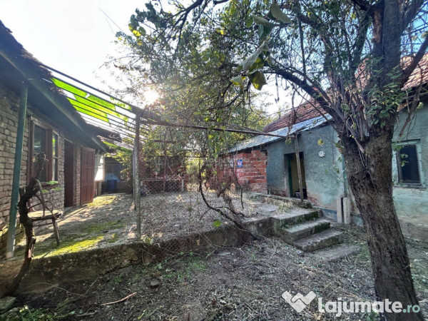 Bocsa Romana, 2 Corpuri de cladire cu Teren de 555 mp. si ga