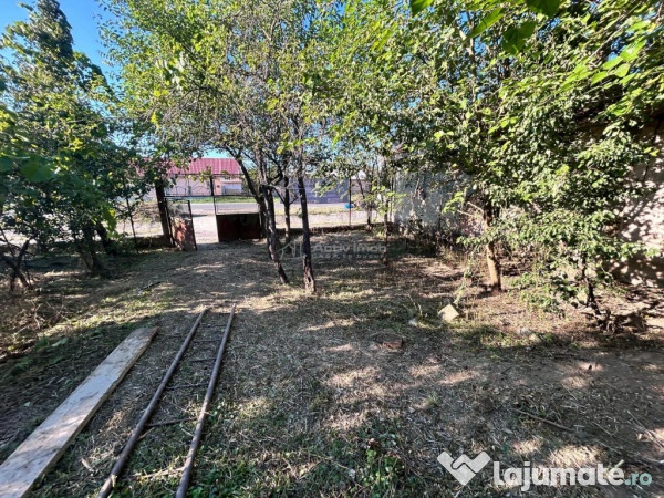 Bocsa Romana, 2 Corpuri de cladire cu Teren de 555 mp. si ga