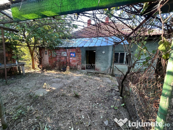 Bocsa Romana, 2 Corpuri de cladire cu Teren de 555 mp. si ga