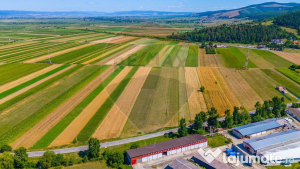 TEREN extravilan- 6 E/MP- CU PLANTATIE DE TRANDAFIRI! Tel...