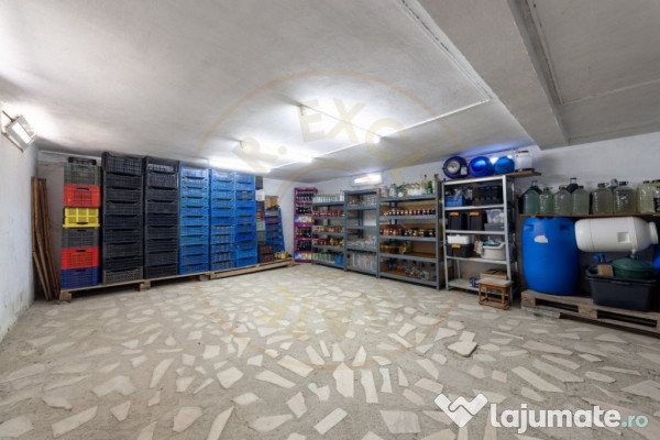 Casa visurilor cu livada roditoare si gradina amenajata 