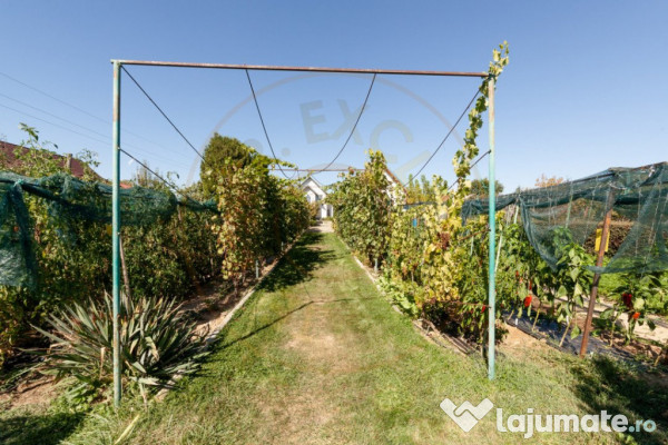 Casa visurilor cu livada roditoare si gradina amenajata 