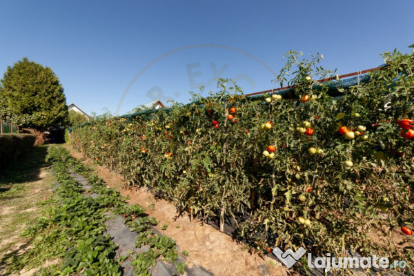 Casa visurilor cu livada roditoare si gradina amenajata 