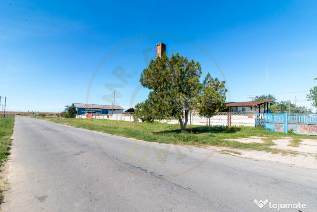 Hala industrial-comerciala