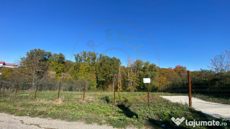 Teren 969 mp intravilan la 10km de Pitesti, langa padure.