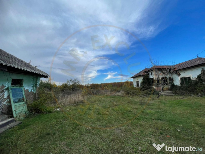 Teren 6975 mp Mosoaia Arges 