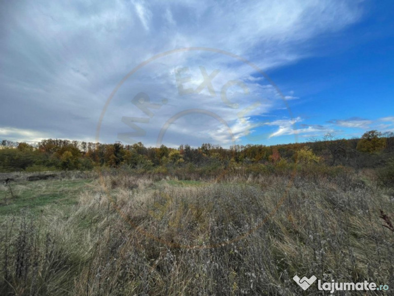 Teren 6975 mp Mosoaia Arges 