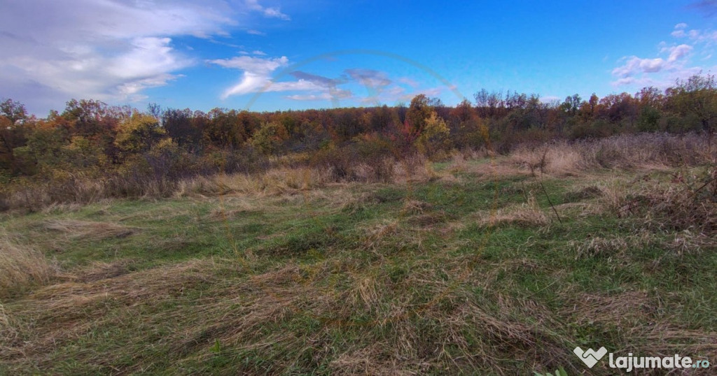 Teren 6975 mp Mosoaia Arges 