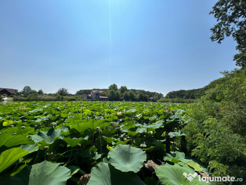 Teren de Vis pe malul lacului Snagov / 4000 mp in inima Natu