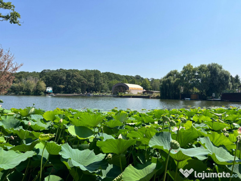 Teren de Vis pe malul lacului Snagov / 4000 mp in inima Natu