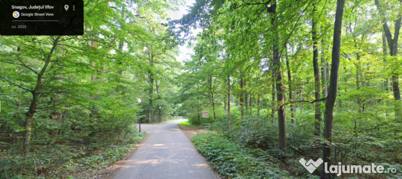 Teren de Vis pe malul lacului Snagov / 4000 mp in inima Natu