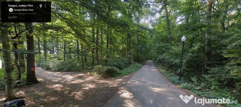 Teren de Vis pe malul lacului Snagov / 4000 mp in inima Natu