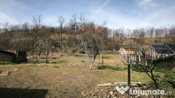 Casă la țară in Transilvania - sat sasesc Păucea, jud...