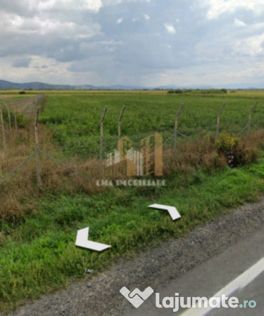 Teren intravilan industrial DN 13 Calea Feldioarei Brasov