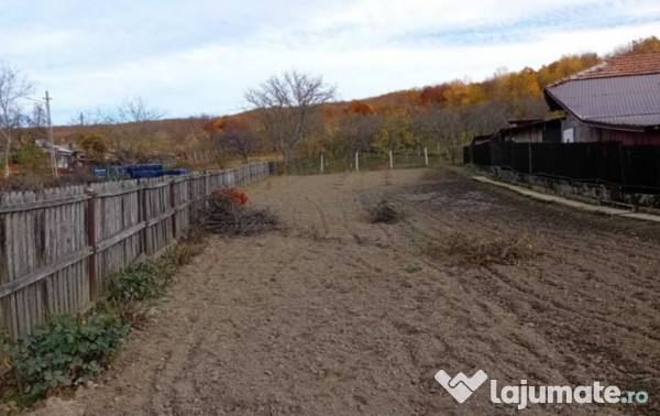 Teren intravilan- Com. Calinesti, jud. Arges