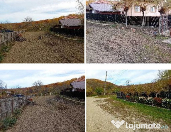 Teren intravilan- Com. Calinesti, jud. Arges