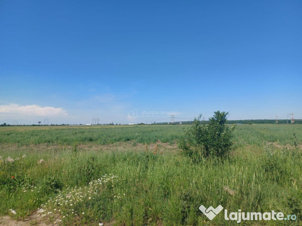 Teren strada Viitorului- Ciorogarla