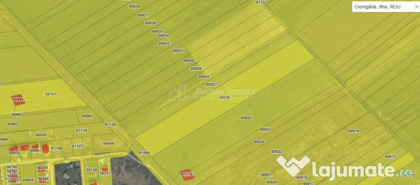 Teren strada Viitorului- Ciorogarla