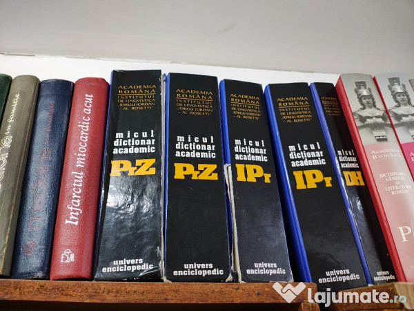 Micul dictionar academic 