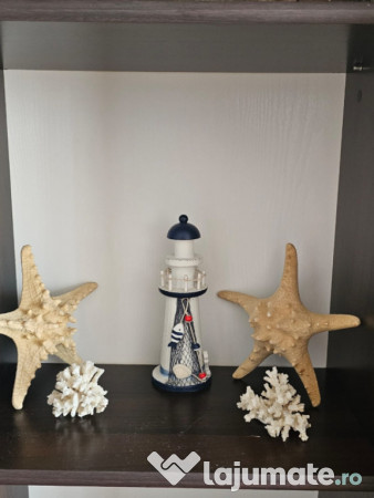 Apartament 2 camere, termen lung, Mamaia Nord