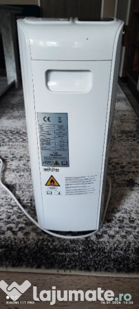 Dezumidificator Madeira – aer curat & confort sporit. 