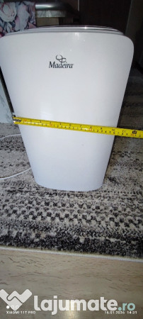 Dezumidificator Madeira – aer curat & confort sporit. 