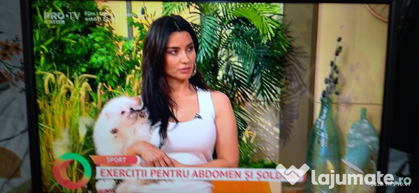 Televizoare preturi bune si repar tv si boxe active 