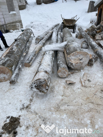 Lemne de foc cu transport gratuit 