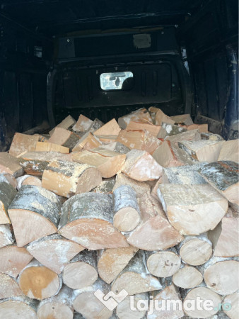 Lemne de foc cu transport gratuit 