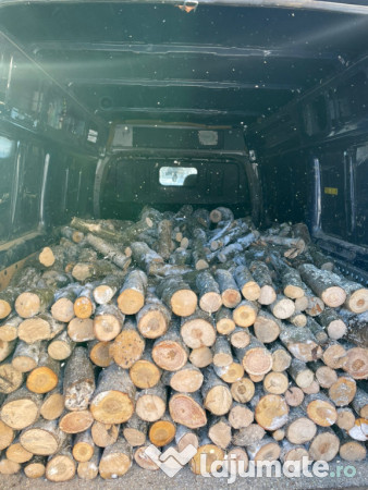 Lemne de foc cu transport gratuit 