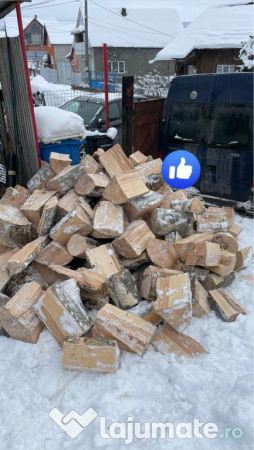 Lemne de foc cu transport gratuit 