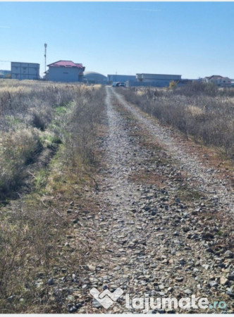 Teren intravilan 1000 mp – Magnolia 